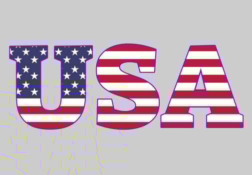 word usa with united states flag vector