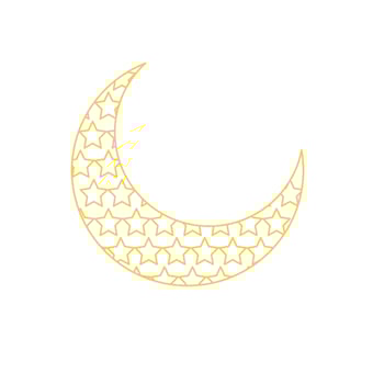 Beautiful vector moon ornament poster