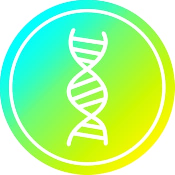 DNA chain circular in cold gradient spectrum vector