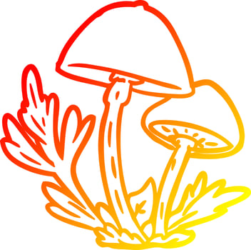 warm gradient line drawing wild mushrooms vector