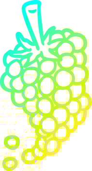 cold gradient line drawing bunch of grapes vector