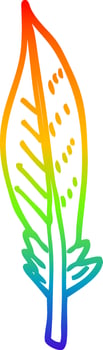 rainbow gradient line drawing cartoon green feather vector