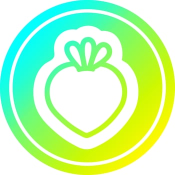 fresh fruit circular in cold gradient spectrum vector