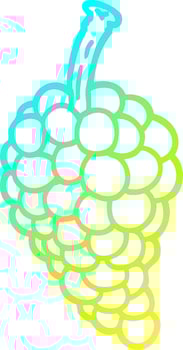 cold gradient line drawing cartoon bunch of grapes vector
