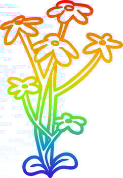 rainbow gradient line drawing flower vector