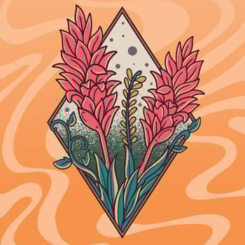 beautiful red flower nature symbol vector
