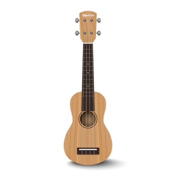 Ukulele isolated on white background, vector illustration