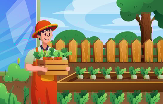 Harvesting Vegetable in Home Garden vector