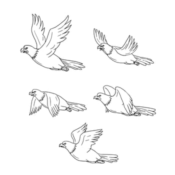 Eagle Flying Side Cartoon Collection Set vector