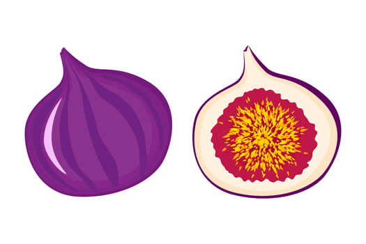 Exotic fig vegan fruit vector flat isolated illustration