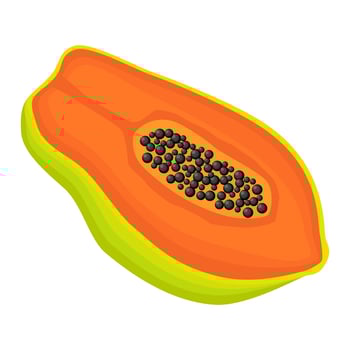 Exotic papaya vegan fruit vector flat isolated illustration