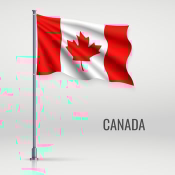 Waving flag on flagpole vector