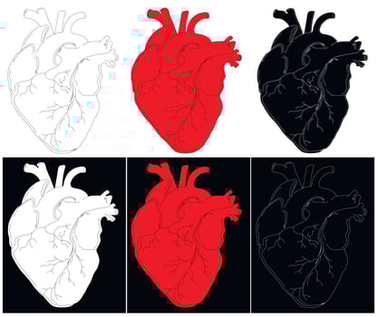 Anatomical drawing of the heart. Background for brochures, booklets, flyers, tattoo parlors. Set of red, white and black hand-drawn hearts. Vector illustration.