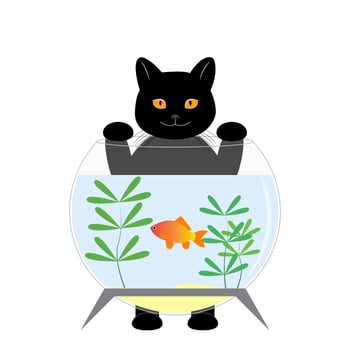 The black cat is behind the aquarium. The cat wants to catch a goldfish. Cute cat character. Vector illustration for children. print