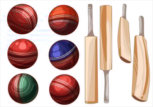 Set of hand drawn sport items Cricket balls different colours and bats vector