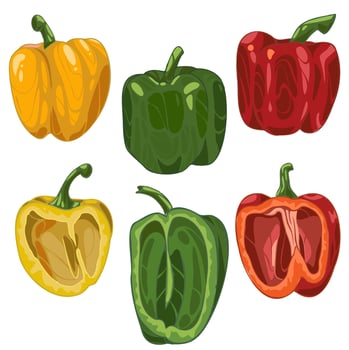 Set of hand drawn pepper, green, red, yellow. Different colour vector