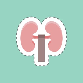 Sticker line cut Kidney. suitable for education symbol. simple design editable. design template vector. simple illustration vector