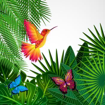 Tropical leaves with birds, butterflies. Floral design background with colibri. vector