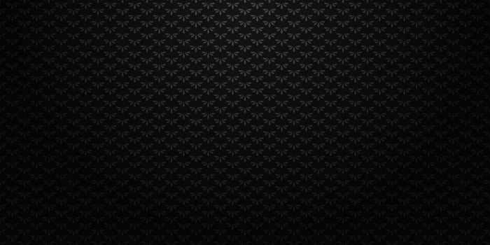 Seamless victorian pattern Dark black texture vector