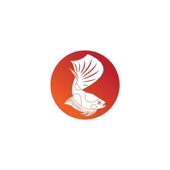 beautiful betta fish vector