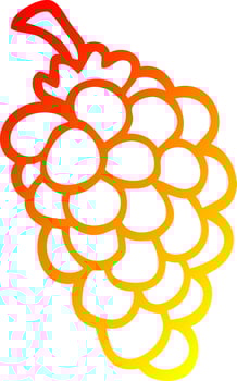 warm gradient line drawing cartoon bunch of grapes vector