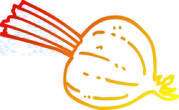 warm gradient line drawing cartoon fresh beet vector