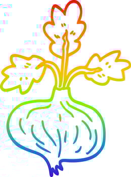 rainbow gradient line drawing cartoon old onion vector