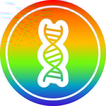 DNA chain circular in rainbow spectrum vector