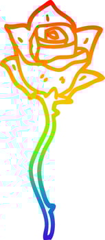 rainbow gradient line drawing cartoon white rose vector
