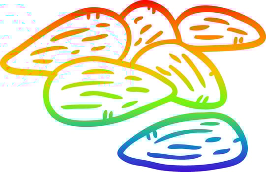 rainbow gradient line drawing almonds vector