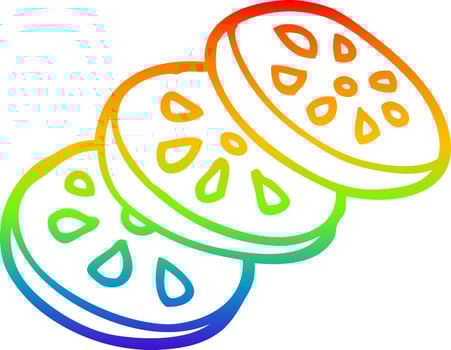 rainbow gradient line drawing cartoon sliced tomato vector