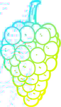 cold gradient line drawing cartoon grapes vector