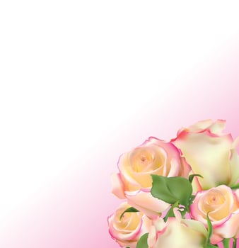 Realistic Rose High Quality Vector Illustration