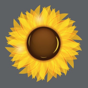 Sunflowers vector illustration background vector illustration