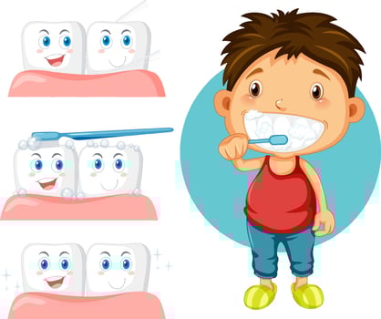 Boy brushing teeth with the teeth with gum vector