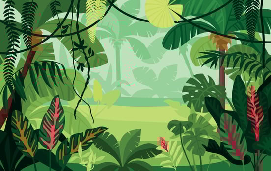 Colored Jungle Composition vector