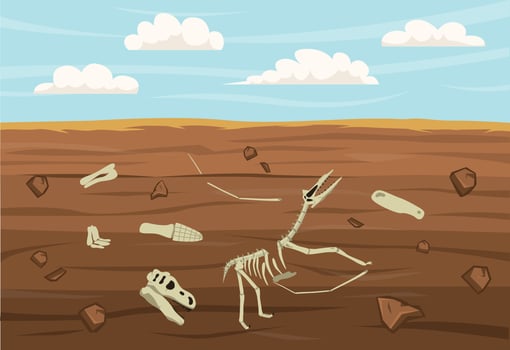 Dinosaur Fossils Illustration vector