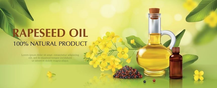 Rape Canola Horizontal Poster vector