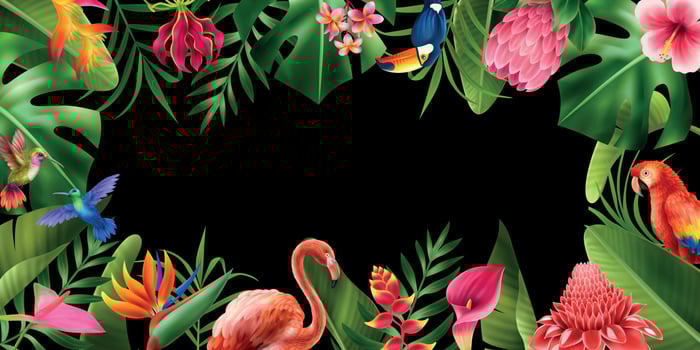Exotic Flowers Horizontal Frame vector
