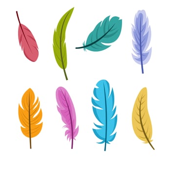 Set of Flat Feather Illustration vector