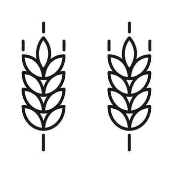 Farm wheat ears icon vector template.for organic eco business, agriculture, bakery, logo design. color editable
