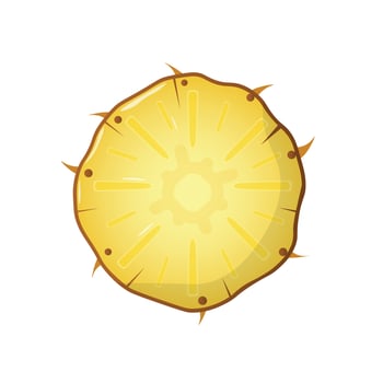 Vector illustration of pineapple ring isolated on white background. Sliced tropical fruit.