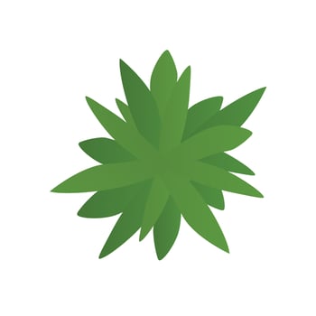 Top view palm leaves tree isolated on white background. Vector cartoon illustration