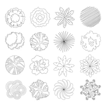 Set of Tree Plan Outline vector