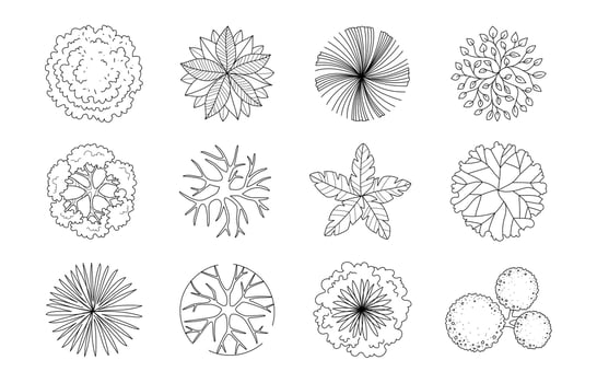Architecture Tree Top View Line Symbol vector