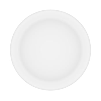 white plate isolated. vector illustration.