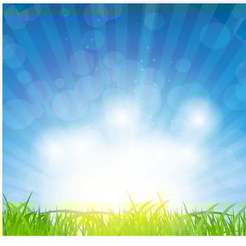 Abstract natural background vector background.