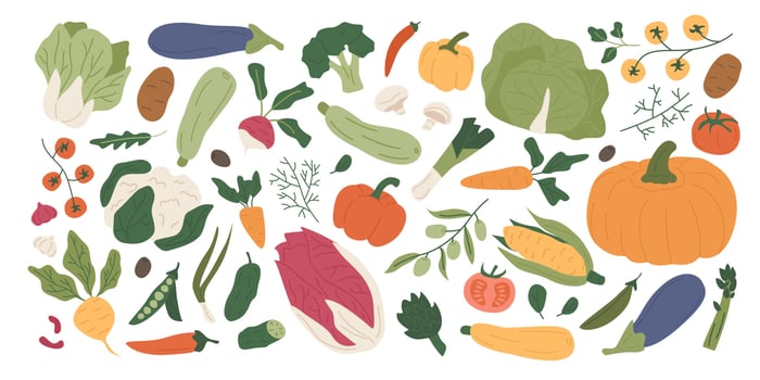 Colorful collection of fresh organic vegetables and edible greens. Set of summer and autumn farm harvest, natural crops, salads, herbs. Healthy vegetarian food. Illustration in flat style. vector