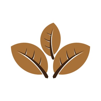 tobacco leaf logo,tobacco field and tobacco cigarette logo template design vector