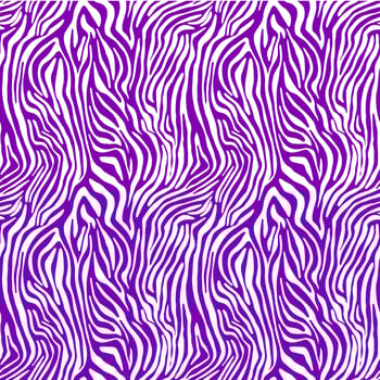 Vector animal print. Zebra ornament. Seamless pattern